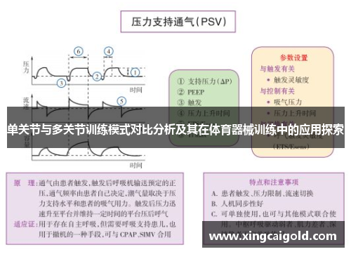 单关节与多关节训练模式对比分析及其在体育器械训练中的应用探索