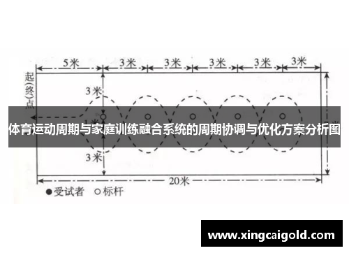 体育运动周期与家庭训练融合系统的周期协调与优化方案分析图