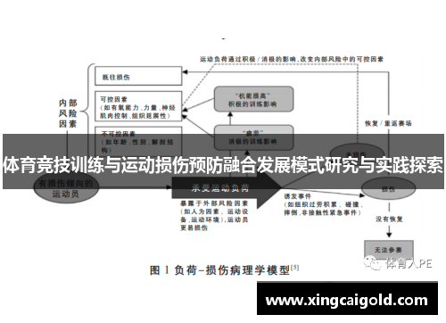 体育竞技训练与运动损伤预防融合发展模式研究与实践探索
