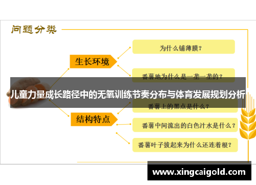 儿童力量成长路径中的无氧训练节奏分布与体育发展规划分析