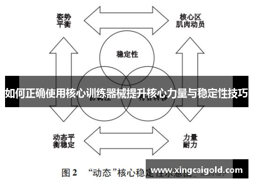 如何正确使用核心训练器械提升核心力量与稳定性技巧