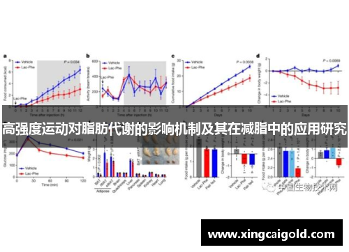 高强度运动对脂肪代谢的影响机制及其在减脂中的应用研究